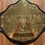 WWE 'Big Gold' Belt Image 2