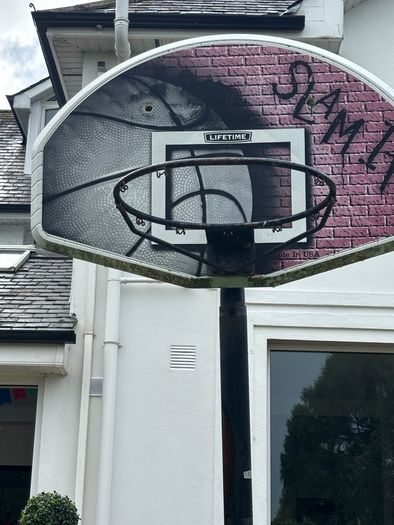 Basketball stand & hoop