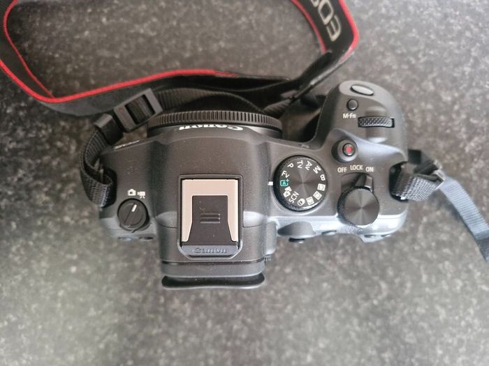 Canon R6 Mark II