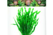 Aqua Nova Artificial Plant 40cm NP-40 6008-R