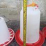 chicken feeders Image 3