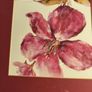 SET OF 2 Picture - Pastel pink flower - reproduction in frame , Brent Heighten artist Image 2
