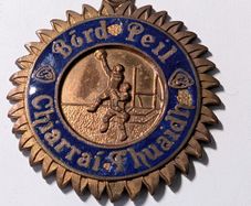 Kerry GAA medal