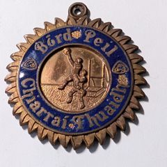 Kerry GAA medal