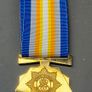 SAPS 100 Year Commemorative Medal 2013 Image 2