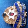 Salisbury Bowling Club Pin Badge. Image 4