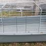 Large Rabbit Hutch Image 5