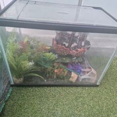 aquarium with accessories
