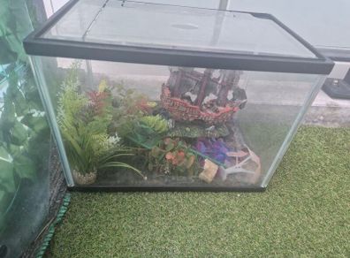 aquarium with accessories