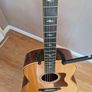Taylor 818ce Electro Acoustic Image 3