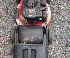 petrol lawnmower