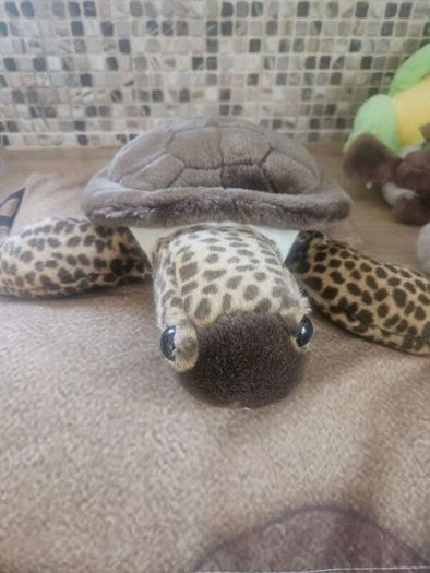 Turtle Teddy Bear