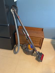 Dyson Big Ball