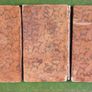 Rare Leather Antique book set. Dated 1788. Swiss and French. Dictonary Image 7
