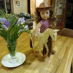 Our Generation Doll and Horse