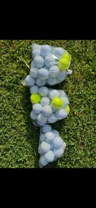golfballs