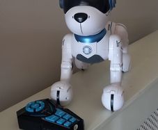 Ziggy Robot Dog