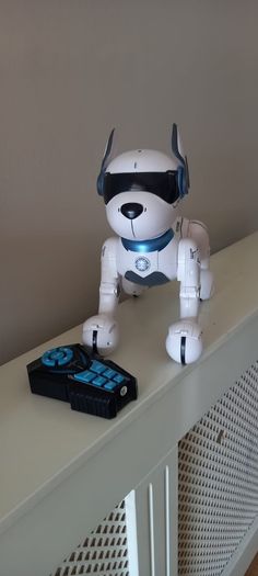 Ziggy Robot Dog