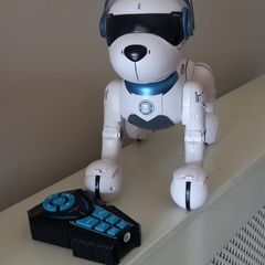 Ziggy Robot Dog