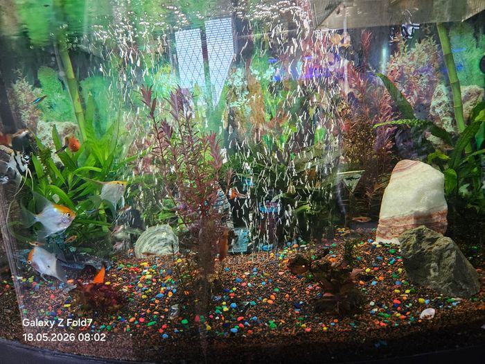 aquarium with fish and full equipment