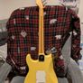 Fender Player Stratocaster with Dimarzio in the Bridge. Image 2