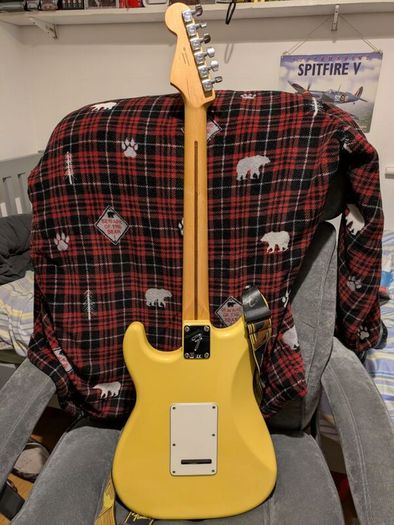 Fender Player Stratocaster with Dimarzio in the Bridge.