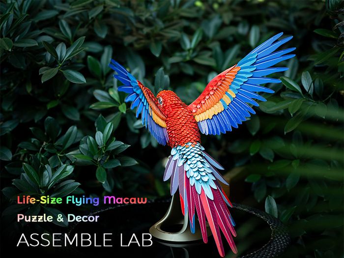3D Printed Lifesize Macaw