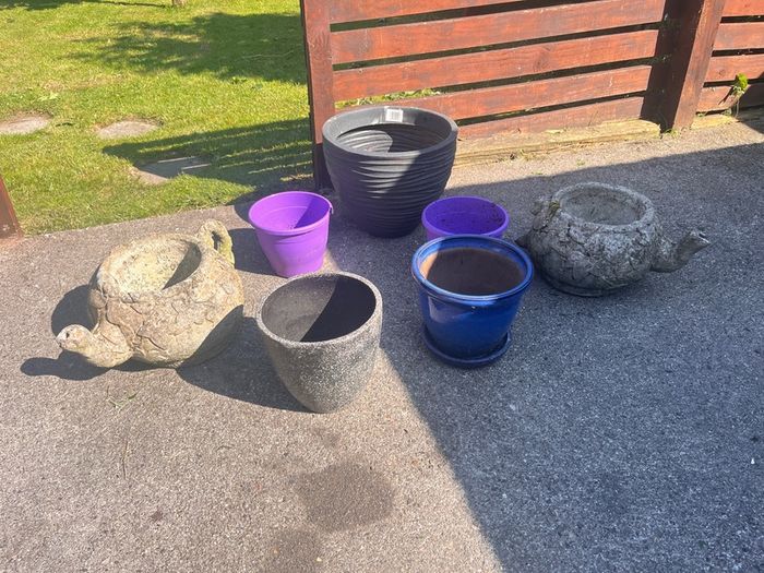 Few garden bits