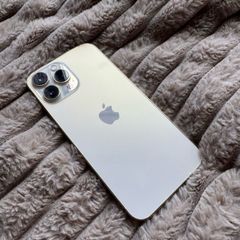 iPhone 13 Pro Max & Accessories