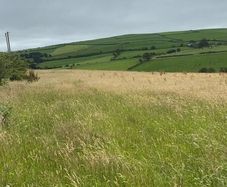 Organic Hay or Haylage Rossmore/Reenascreena Area