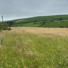 Organic Hay or Haylage Rossmore/Reenascreena Area