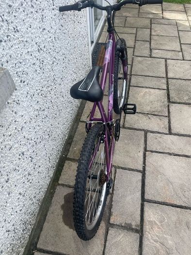 ladies bike