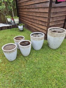 garden outside pots