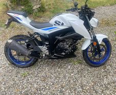 Suzuki gsx-s 125