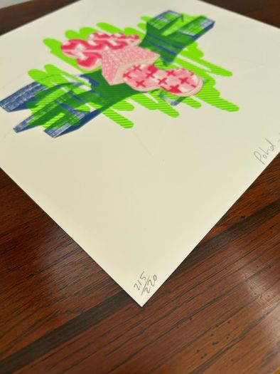 Leah Hewson / Graphic Studio Dublin, Fine Art Embossed Copperplate Etching Screen Print
