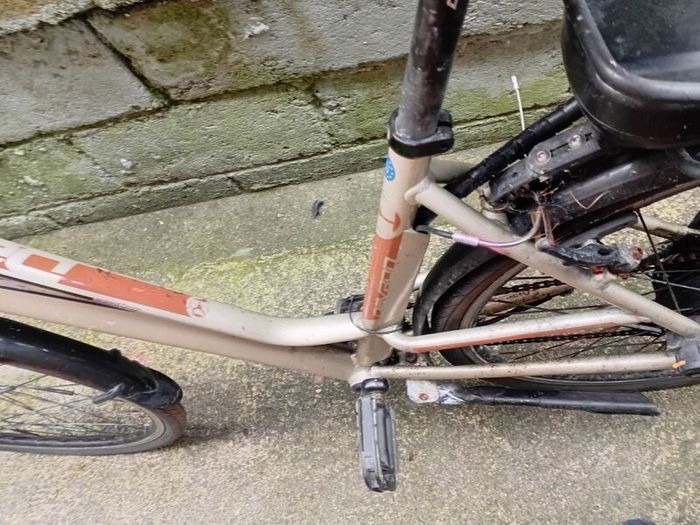 adults bike