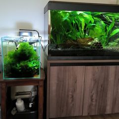 aquarium