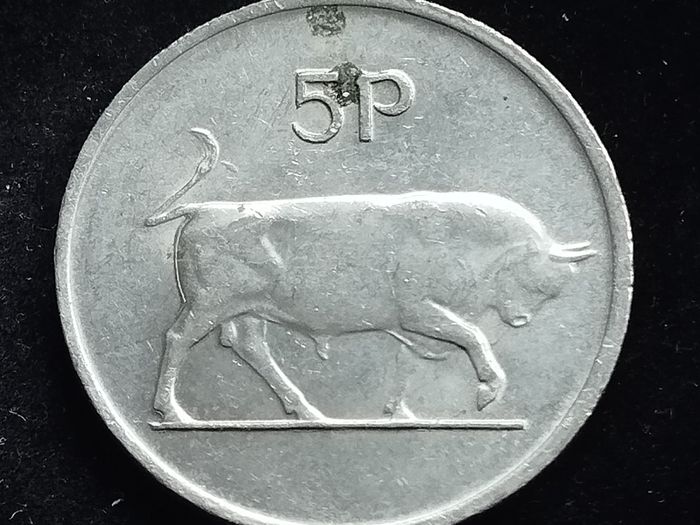 Ireland - 1986 - ERROR - 5 Pence  - Bull - KM.22 - [2019]