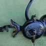 Antique  Coffee Grinder/Very good cond. Image 8
