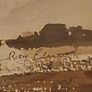 Strangford Lough by Ray Elwood Image 5