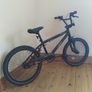 spine x rated BMX Image 5