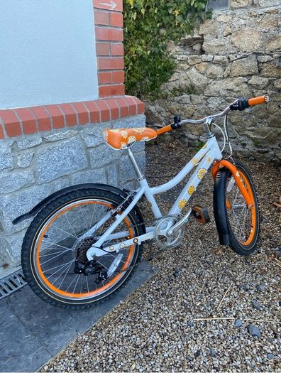 20 inch girls Raleigh bike
