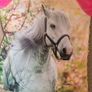GAA Jersey Horse Mane Attraction Age 9-10 Image 3