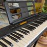 casiotone keyboard piano Image 2