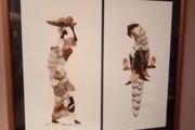 South African Butterfly Art