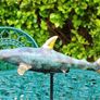 Hammerhead Shark - Patinated Bronze With Gold Accents Image 2