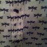 BNWT Black and Cream top Image 6