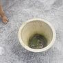 planter Image 3
