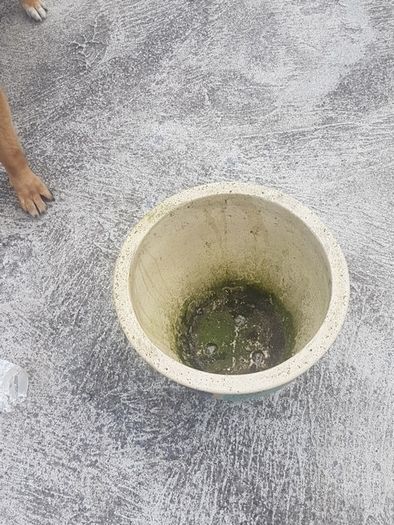 planter