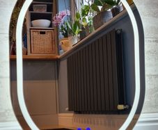 LED Bathroom Mirror Oval Egg Shape